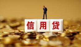 成都急用哪有个人借贷-成都急用小额贷款公司-成都急用私借空放免费上门