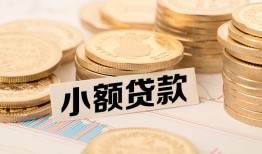 成都急用身份证贷款平台-成都急用私人借贷不查征信-成都急用空放借钱