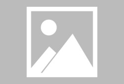 成都急用信用贷款办理-成都急用哪有民间借贷-成都急用信用贷款哪家好