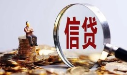 成都急用个人小额贷款-成都急用信用贷款-成都急用无抵押信用贷款